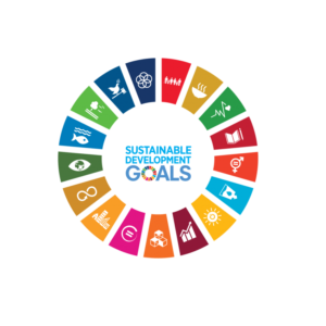 sdg_-_wheel_-_smaller_2